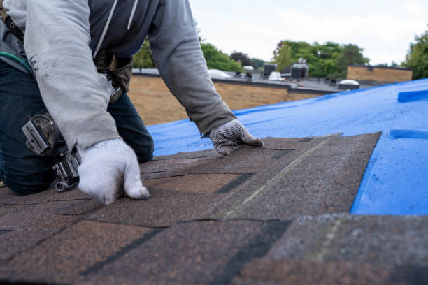 Best Metal Roofing Contractor  in Scappoose, OR